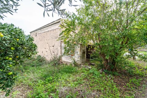 Landejendom i Son Servera, Mallorca, Son Servera - € 599.000 | Ref: JRP1074/3010 - foto 28