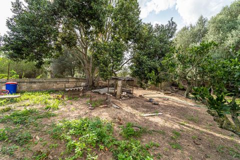 Landejendom i Son Servera, Mallorca, Son Servera - € 599.000 | Ref: JRP1074/3010 - foto 29