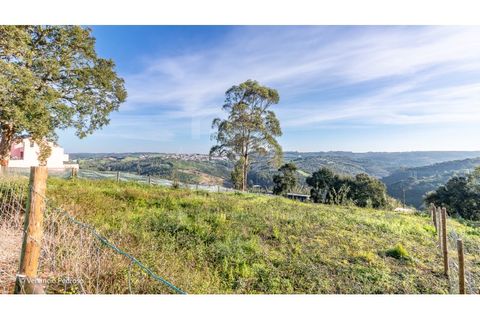Helårsgrund i Mafra, Lisbon, Mafra - € 198.000 | Ref: V23305 - foto 5