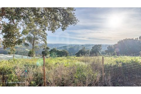 Helårsgrund i Mafra, Lisbon, Mafra - € 198.000 | Ref: V23305 - foto 7