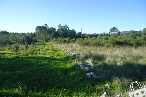 Helårsgrund i Alcobaca, Leiria, Alcobaca - € 70.000 | Ref: 364/T/00048 - foto 2