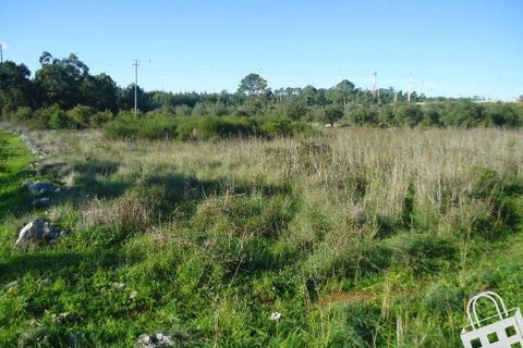 Helårsgrund i Alcobaca, Leiria, Alcobaca - € 70.000 | Ref: 364/T/00048 - foto 3