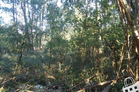 Helårsgrund i Alcobaca, Leiria, Alcobaca - € 70.000 | Ref: 364/T/00048 - foto 8