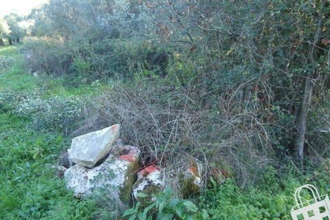 Helårsgrund i Alcobaca, Leiria, Alcobaca - € 70.000 | Ref: 364/T/00048 - foto 9