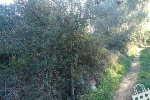 Helårsgrund i Alcobaca, Leiria, Alcobaca - € 70.000 | Ref: 364/T/00048 - foto 10