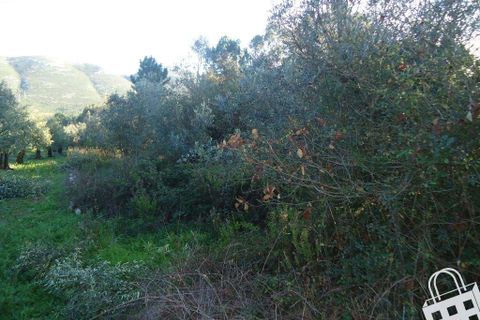 Helårsgrund i Alcobaca, Leiria, Alcobaca - € 70.000 | Ref: 364/T/00048 - foto 11