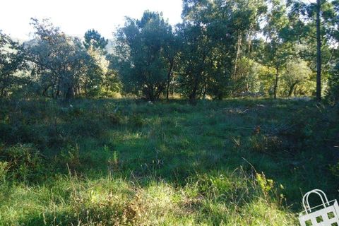 Helårsgrund i Alcobaca, Leiria, Alcobaca - € 70.000 | Ref: 364/T/00048 - foto 12
