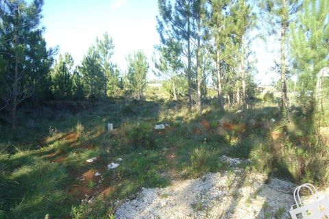 Helårsgrund i Alcobaca, Leiria, Alcobaca - € 70.000 | Ref: 364/T/00048 - foto 13