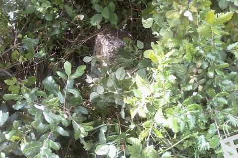 Helårsgrund i Alcobaca, Leiria, Alcobaca - € 55.000 | Ref: 364/T/00052 - foto 2