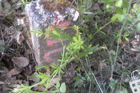 Helårsgrund i Alcobaca, Leiria, Alcobaca - € 55.000 | Ref: 364/T/00052 - foto 3