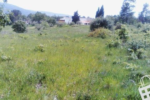 Helårsgrund i Alcobaca, Leiria, Alcobaca - € 55.000 | Ref: 364/T/00052 - foto 5