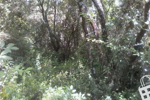 Helårsgrund i Alcobaca, Leiria, Alcobaca - € 55.000 | Ref: 364/T/00052 - foto 6