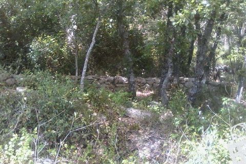Helårsgrund i Alcobaca, Leiria, Alcobaca - € 55.000 | Ref: 364/T/00052 - foto 9