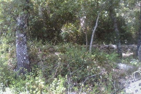 Helårsgrund i Alcobaca, Leiria, Alcobaca - € 55.000 | Ref: 364/T/00052 - foto 10