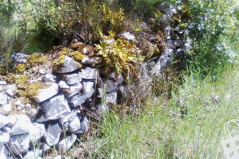 Helårsgrund i Alcobaca, Leiria, Alcobaca - € 55.000 | Ref: 364/T/00052 - foto 11