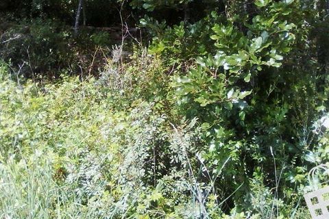 Helårsgrund i Alcobaca, Leiria, Alcobaca - € 55.000 | Ref: 364/T/00052 - foto 12