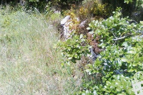 Helårsgrund i Alcobaca, Leiria, Alcobaca - € 55.000 | Ref: 364/T/00052 - foto 13