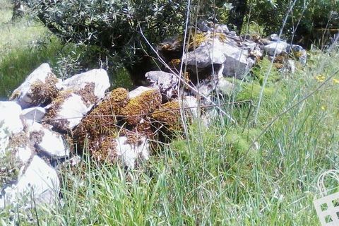 Helårsgrund i Alcobaca, Leiria, Alcobaca - € 55.000 | Ref: 364/T/00052 - foto 14