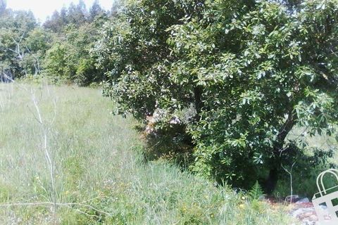 Helårsgrund i Alcobaca, Leiria, Alcobaca - € 55.000 | Ref: 364/T/00052 - foto 18