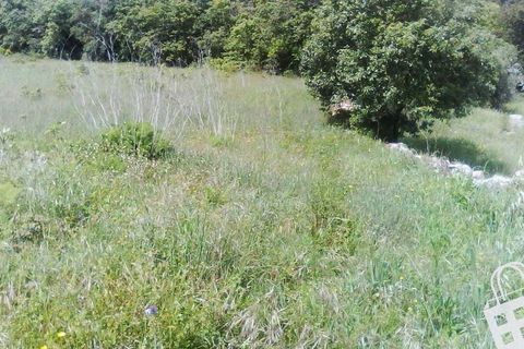 Helårsgrund i Alcobaca, Leiria, Alcobaca - € 55.000 | Ref: 364/T/00052 - foto 19
