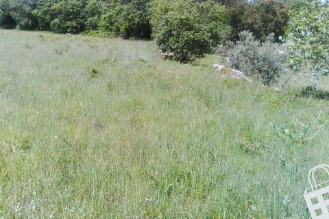 Helårsgrund i Alcobaca, Leiria, Alcobaca - € 55.000 | Ref: 364/T/00052 - foto 21