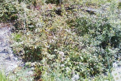 Helårsgrund i Alcobaca, Leiria, Alcobaca - € 55.000 | Ref: 364/T/00052 - foto 23