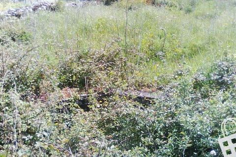 Helårsgrund i Alcobaca, Leiria, Alcobaca - € 55.000 | Ref: 364/T/00052 - foto 24