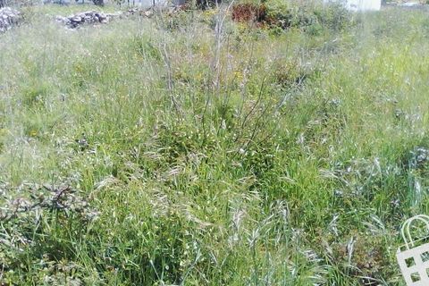 Helårsgrund i Alcobaca, Leiria, Alcobaca - € 55.000 | Ref: 364/T/00052 - foto 25