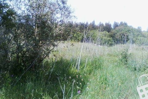 Helårsgrund i Alcobaca, Leiria, Alcobaca - € 55.000 | Ref: 364/T/00052 - foto 26