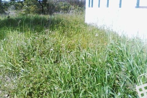 Helårsgrund i Alcobaca, Leiria, Alcobaca - € 55.000 | Ref: 364/T/00052 - foto 27