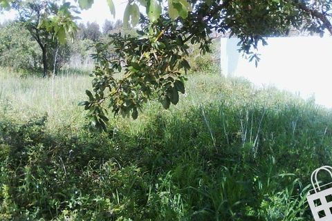 Helårsgrund i Alcobaca, Leiria, Alcobaca - € 55.000 | Ref: 364/T/00052 - foto 30