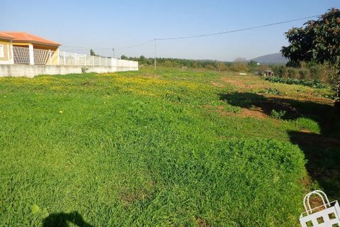Helårsgrund i Alcobaca, Leiria, Alcobaca - € 40.000 | Ref: 364/T/00101 - foto 3
