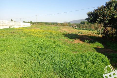 Helårsgrund i Alcobaca, Leiria, Alcobaca - € 40.000 | Ref: 364/T/00101 - foto 6
