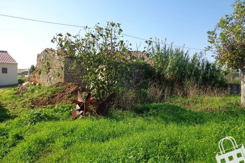 Helårsgrund i Alcobaca, Leiria, Alcobaca - € 40.000 | Ref: 364/T/00101 - foto 7