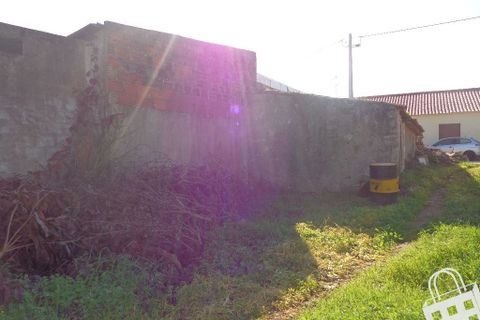 Helårsgrund i Alcobaca, Leiria, Alcobaca - € 40.000 | Ref: 364/T/00101 - foto 8