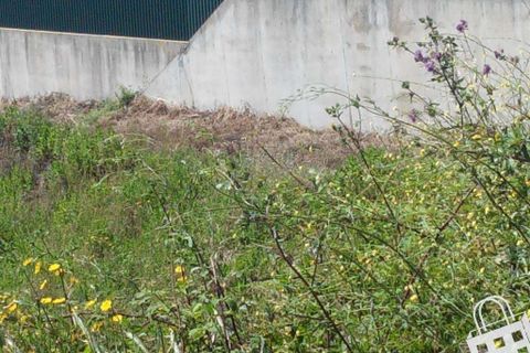 Helårsgrund i Alcobaca, Leiria, Alcobaca - € 52.000 | Ref: 364/T/00167 - foto 3