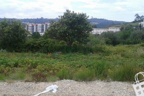 Helårsgrund i Alcobaca, Leiria, Alcobaca - € 150.000 | Ref: 364/T/00214 - foto 5