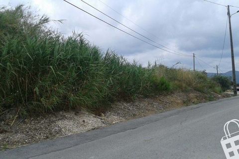 Helårsgrund i Alcobaca, Leiria, Alcobaca - € 150.000 | Ref: 364/T/00214 - foto 8