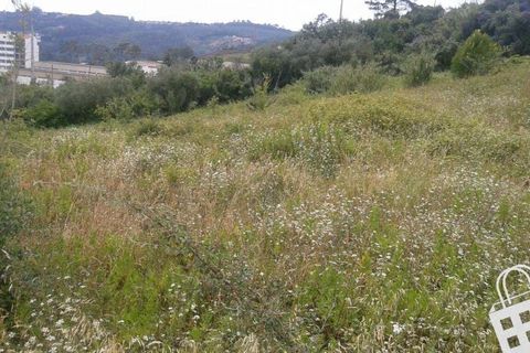 Helårsgrund i Alcobaca, Leiria, Alcobaca - € 150.000 | Ref: 364/T/00214 - foto 11