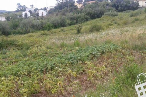 Helårsgrund i Alcobaca, Leiria, Alcobaca - € 150.000 | Ref: 364/T/00214 - foto 12
