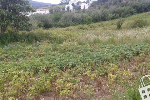 Helårsgrund i Alcobaca, Leiria, Alcobaca - € 150.000 | Ref: 364/T/00214 - foto 13