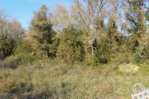 Helårsgrund i Alcobaca, Leiria, Alcobaca - € 87.000 | Ref: 364/T/00330 - foto 2