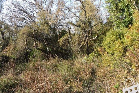 Helårsgrund i Alcobaca, Leiria, Alcobaca - € 87.000 | Ref: 364/T/00330 - foto 3