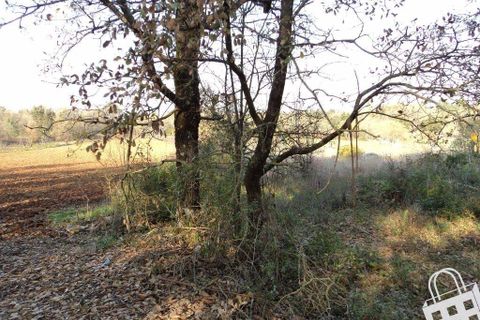 Helårsgrund i Alcobaca, Leiria, Alcobaca - € 87.000 | Ref: 364/T/00330 - foto 4