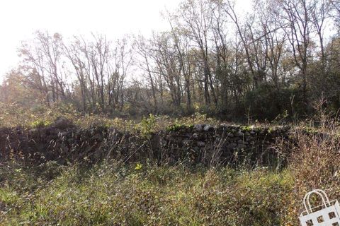 Helårsgrund i Alcobaca, Leiria, Alcobaca - € 87.000 | Ref: 364/T/00330 - foto 6