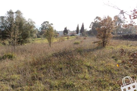 Helårsgrund i Alcobaca, Leiria, Alcobaca - € 87.000 | Ref: 364/T/00330 - foto 7