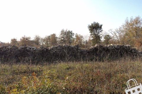 Helårsgrund i Alcobaca, Leiria, Alcobaca - € 87.000 | Ref: 364/T/00330 - foto 8