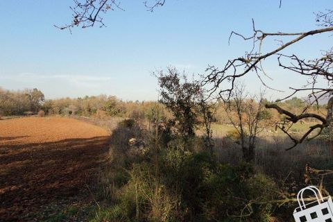 Helårsgrund i Alcobaca, Leiria, Alcobaca - € 87.000 | Ref: 364/T/00330 - foto 9