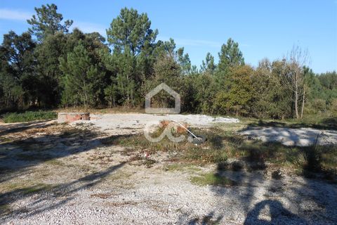 Helårsgrund i Juncal, Leiria, Juncal - € 19.000 | Ref: 364/T/00732 - foto 2