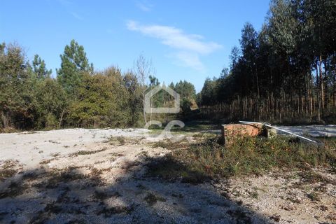 Helårsgrund i Juncal, Leiria, Juncal - € 19.000 | Ref: 364/T/00732 - foto 3